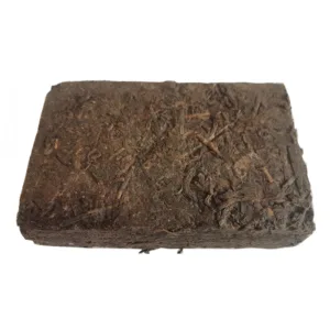 2005 Wild Liubao Tea Brick Tea
