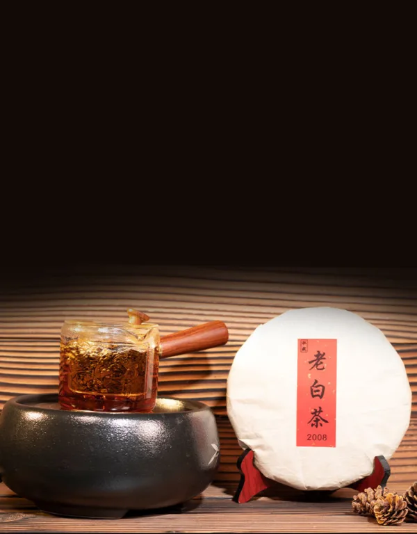 2008 Fuding Tailao Mountain White Tea Shoumei Year High Mountain Old White Tea Cake