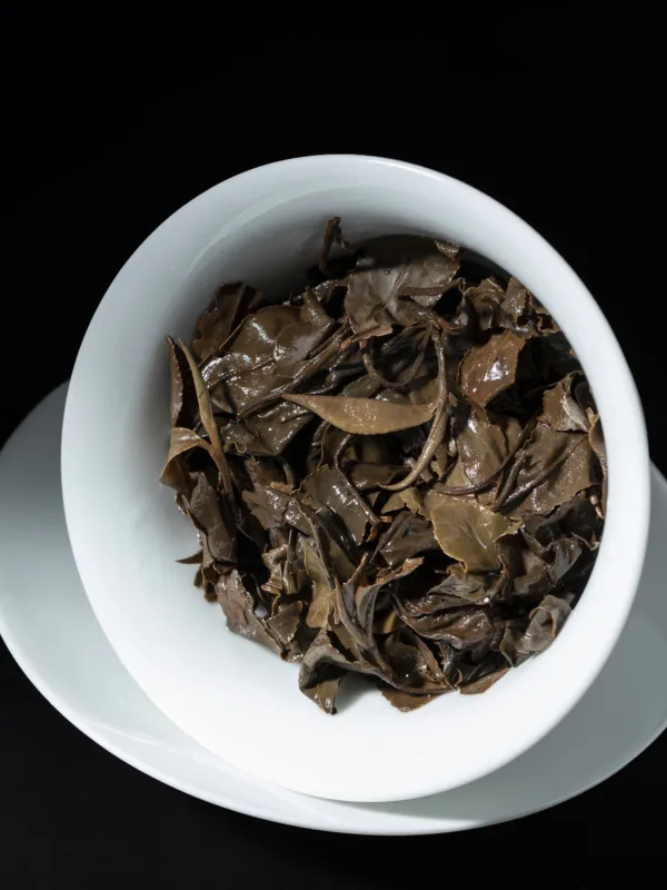 2008 Fuding Tailao Mountain White Tea Shoumei Year High Mountain Old White Tea Cake