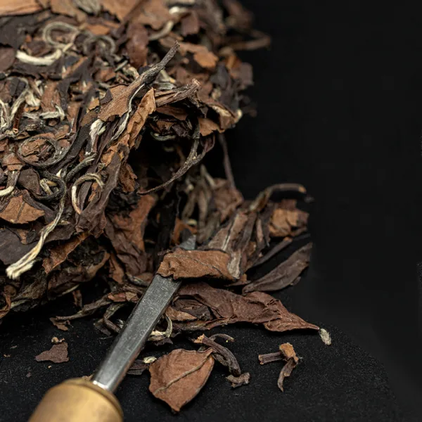 2008 Fuding Tailao Mountain White Tea Shoumei Year High Mountain Old White Tea Cake
