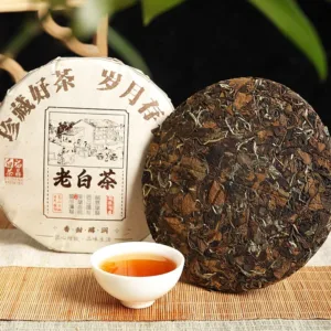 2015 Fuding Old White Tea Cake from Gaoshan Shoumei