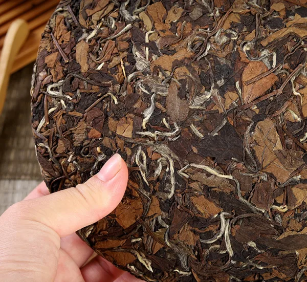2015 Fuding Old White Tea Cake from Gaoshan Shoumei