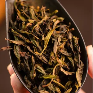 Authentic Guangdong Chaozhou Danhu Aofu Hou Phoenix Danchong Oolong Tea