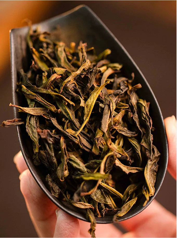 Authentic Guangdong Chaozhou Danhu Aofu Hou Phoenix Danchong Oolong Tea