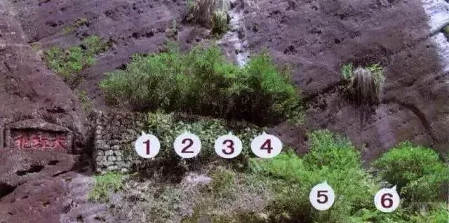 real da hong pao three