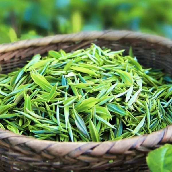 2025 Guizhou Duyun Maojian Green Tea Pre-Qingming Spring Tea