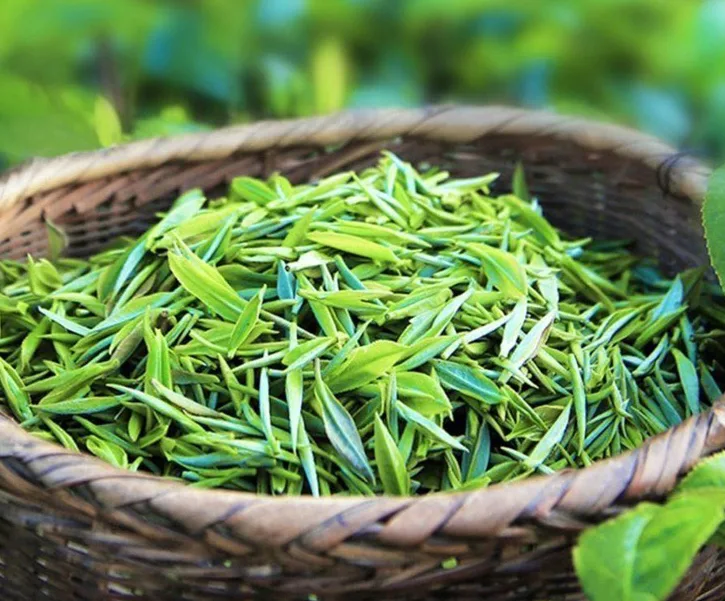 2025 Guizhou Duyun Maojian Green Tea Pre-Qingming Spring Tea