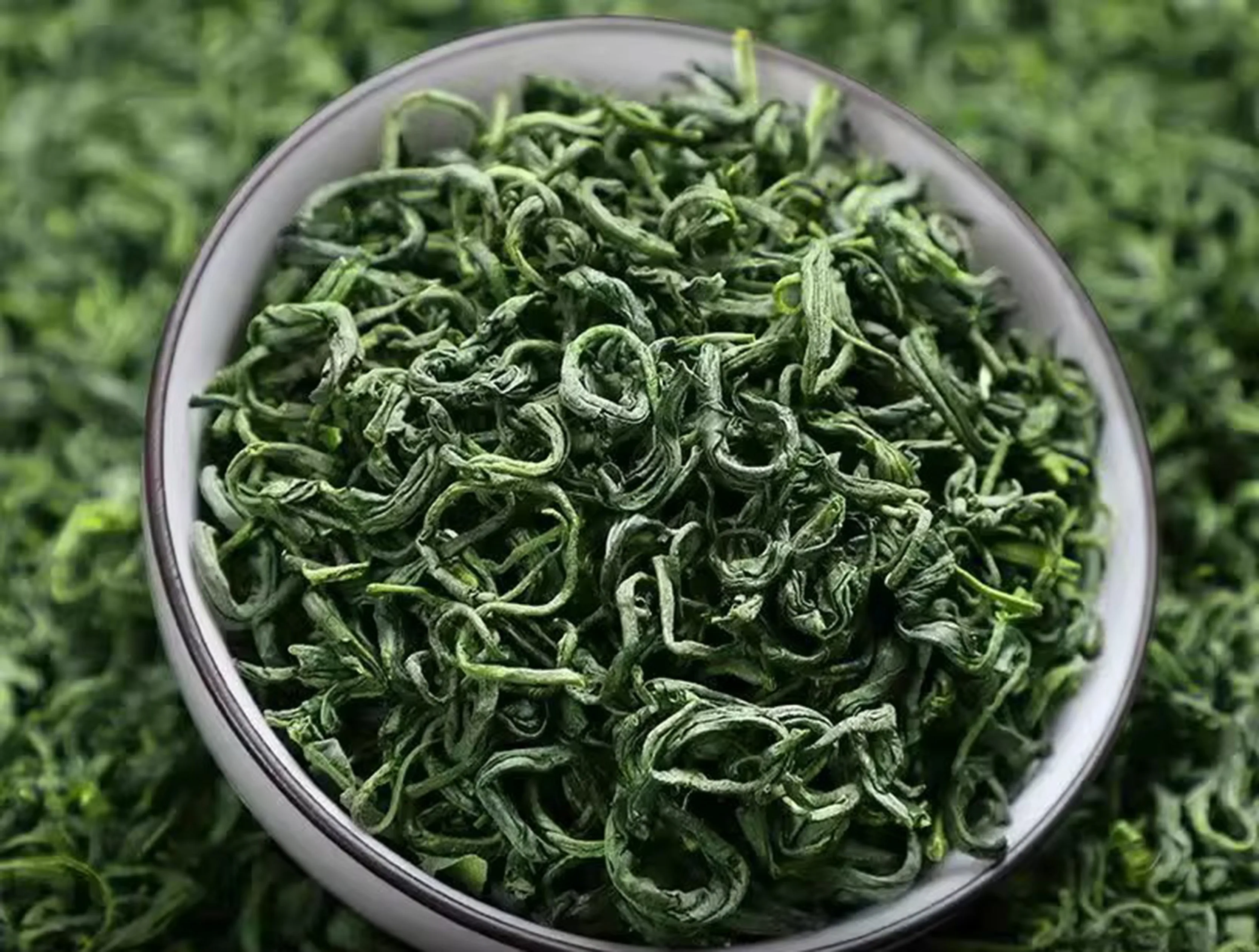 2025 Imperial Grade Laoshan Green Tea from Shandong