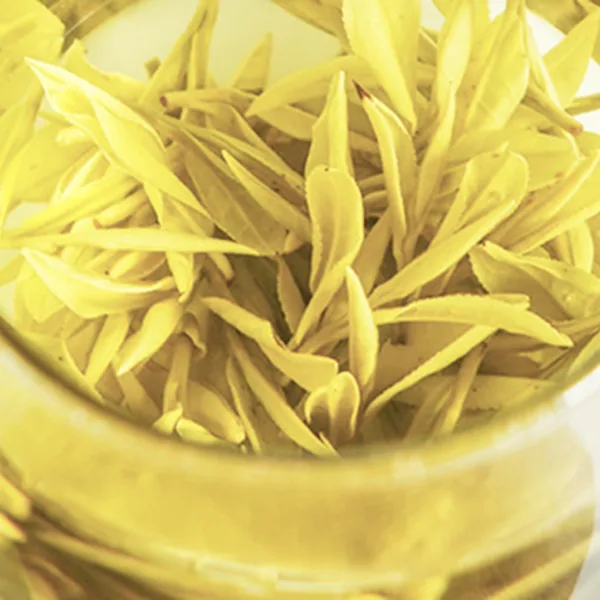 2025 Anji Bai Cha Green Tea with Milky White and Golden Buds